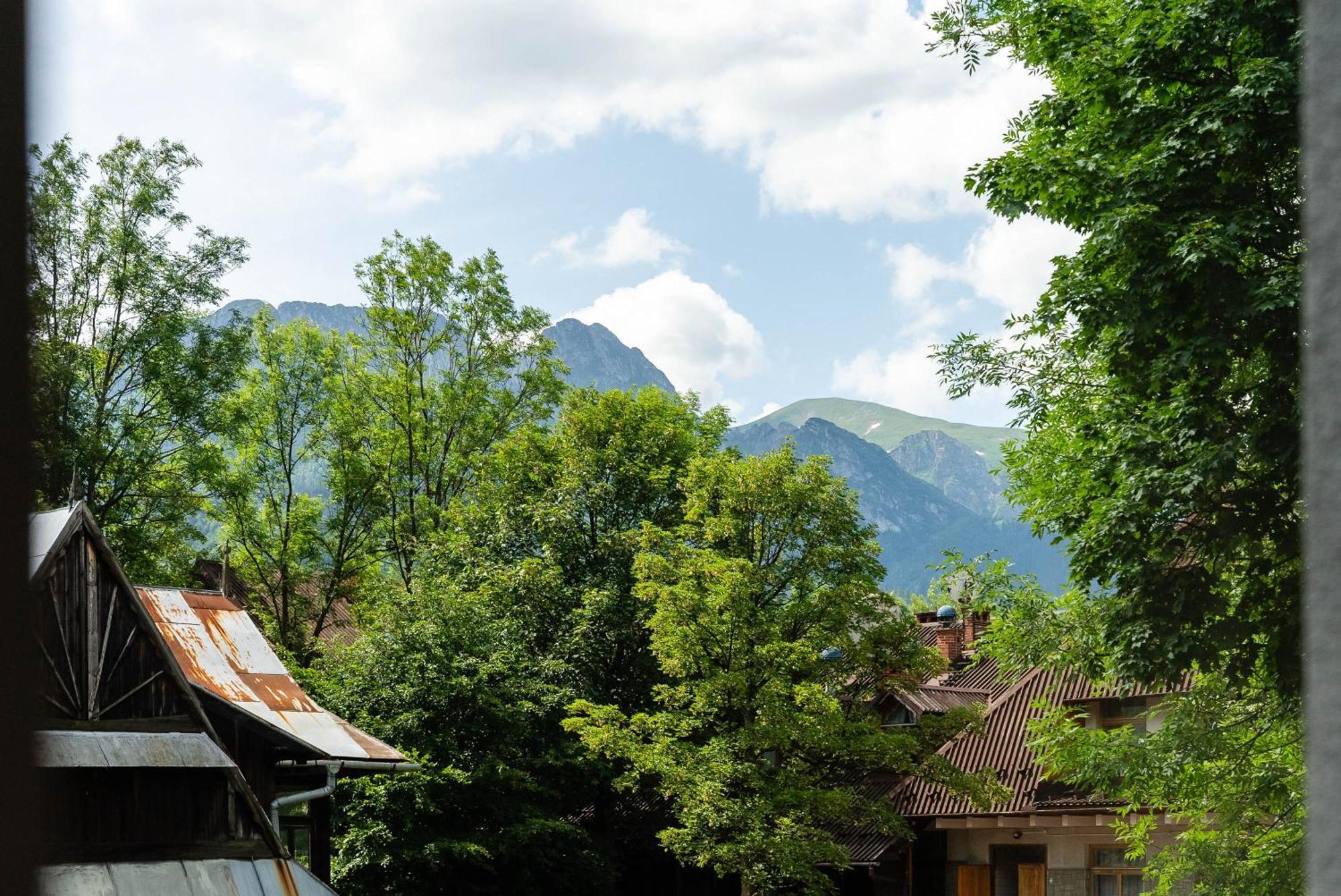 Villa Monte Zakopane Exterior photo